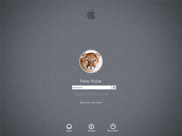 Get Apple Mac OS X Mountain Lion Login Screen for Windows 7