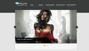 VibeLivre free wordpress themes download