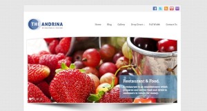 Andrina-lite- free wordpress theme