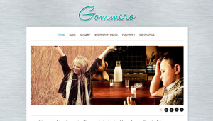 Gommero - free wordpress themes