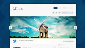 liquid free wordpress theme download