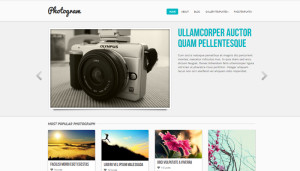 photogram - free wordpress theme Ever