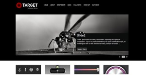 target free wordpress theme