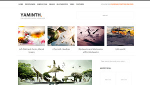 yaminth - Best Premium Free WordPress Theme Download