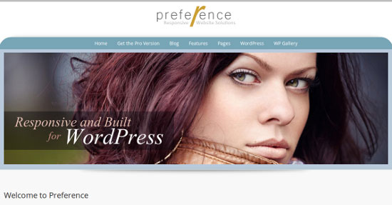preference-free-wordpress-theme-2013