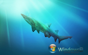 windows-8-Animals-shark-flowers 0wallpapers_HD_1920x1200-Awesome