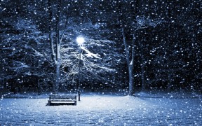 windows-8-snow-fall-at-night-best-effect-wallpapers_HD_1920x1200-winter