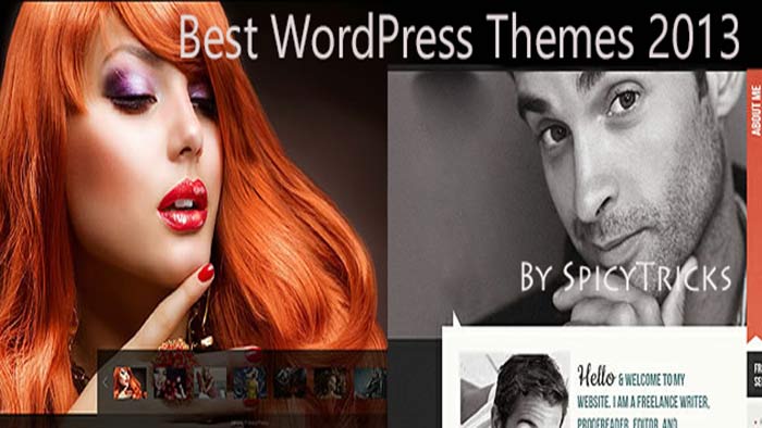 10 Best Free WordPress Themes for 2013 June