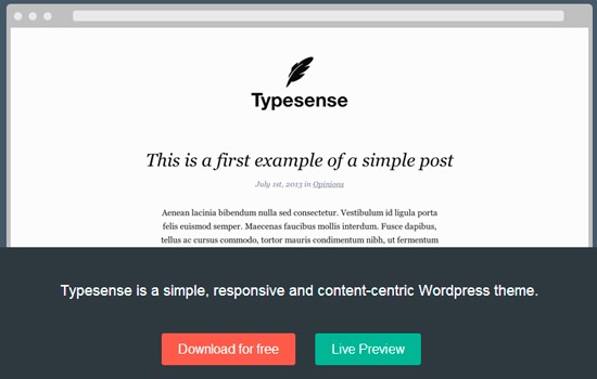 type-sense-wp-theme-2013