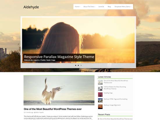 Aldehyde-Free-WordPress-Theme-2014