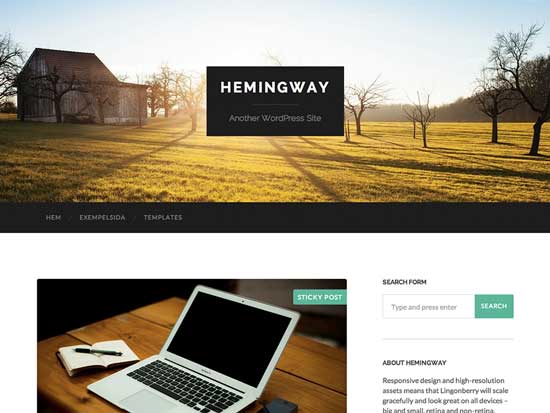 Free-WordPress-Themes-2014---Hemins