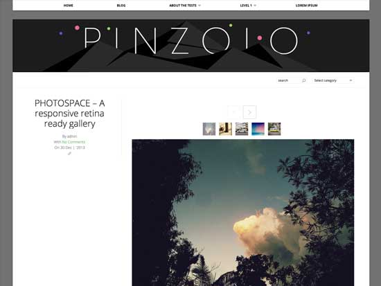 Free-WordPress-Themes-2014---pinzola
